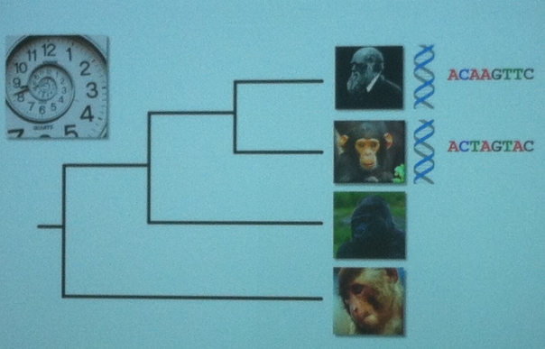 Measuring Evolution with Molecular Clocks at Sydney Science Festival